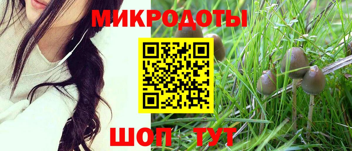 Псилоцибиновые грибы Cubensis  Вход с VPN  Красноярск  Галлюциногенные грибы прущие грибы 