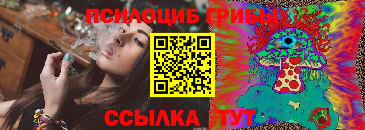 Псилоцибиновые грибы Psilocybe Красноярск